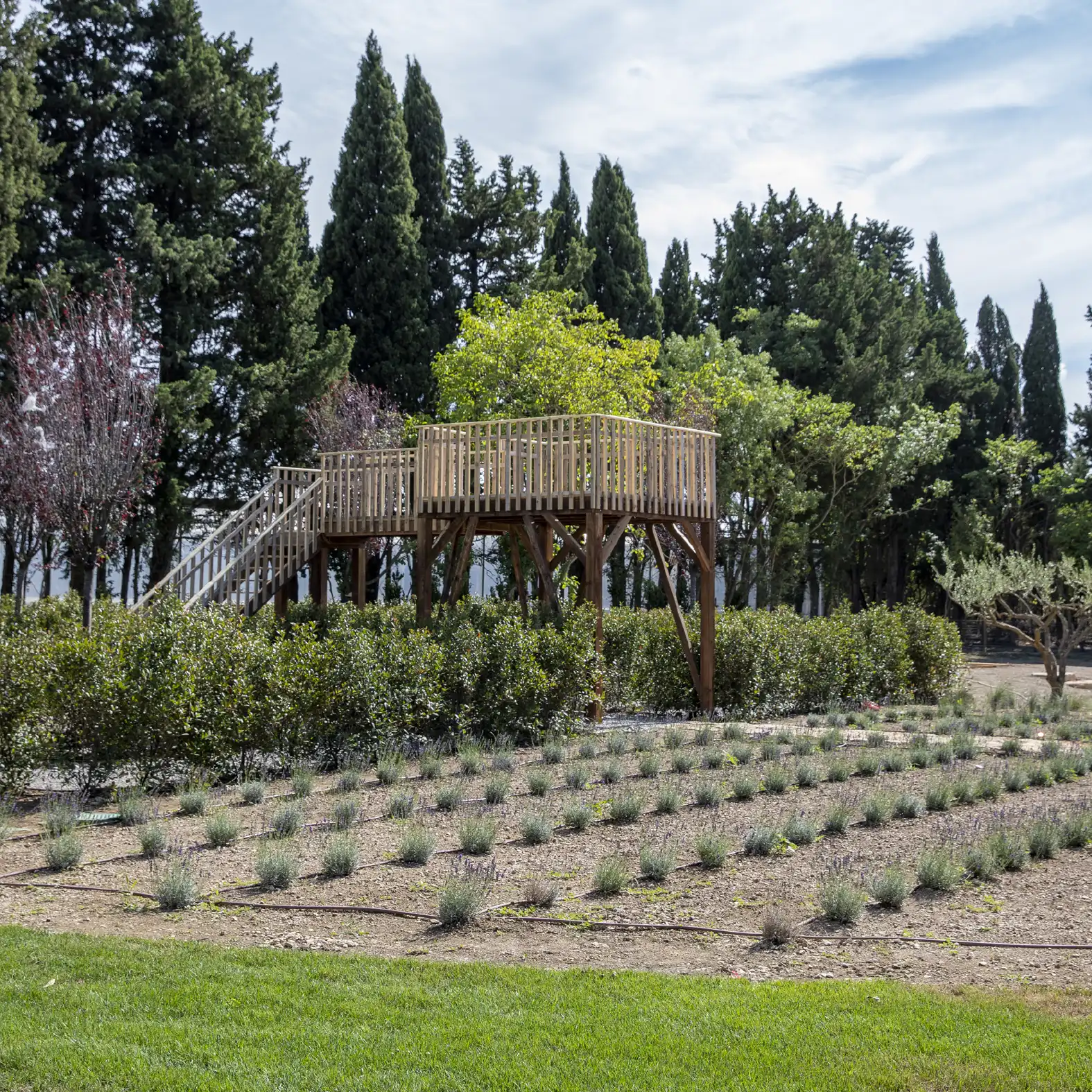 Casa Nostra Eygalières garden