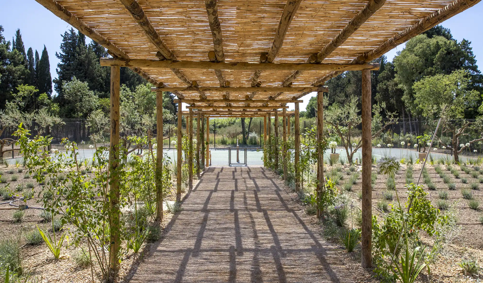 Casa Nostra Alpilles jardin