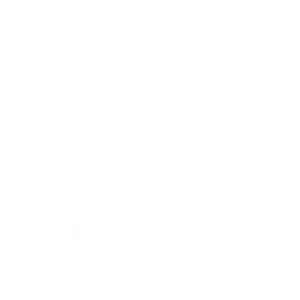 Casa Octopus